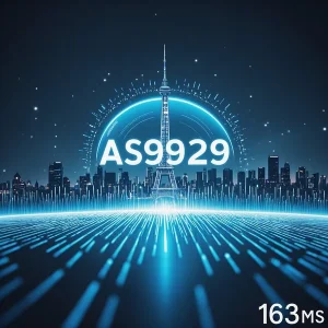 AS9929线路是什么,怎么样