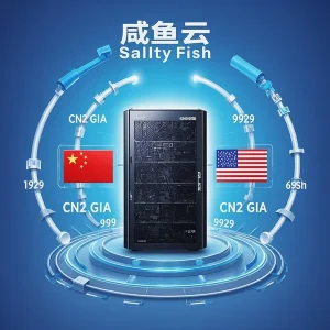 SaltyFish咸鱼云怎么样