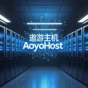遨游主机AoyoHost怎么样