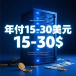 年付15至30美元的VPS