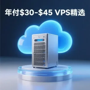 年付30至45美元的VPS