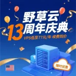 25年野草云优惠活动，野草云13周年庆
