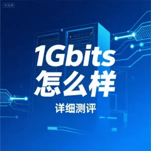 1Gbits怎么样