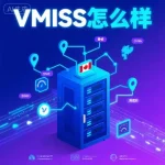 VMISS 怎么样
