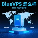 BlueVPS 怎么样