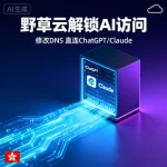 野草云解锁 AI