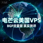 电芒云美国 BGP 流量版 VPS