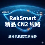 RakSmart 精品 CN2 线路
