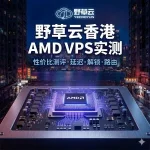 野草云香港 AMD Linux VPS