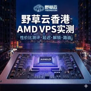 野草云香港 AMD Linux VPS